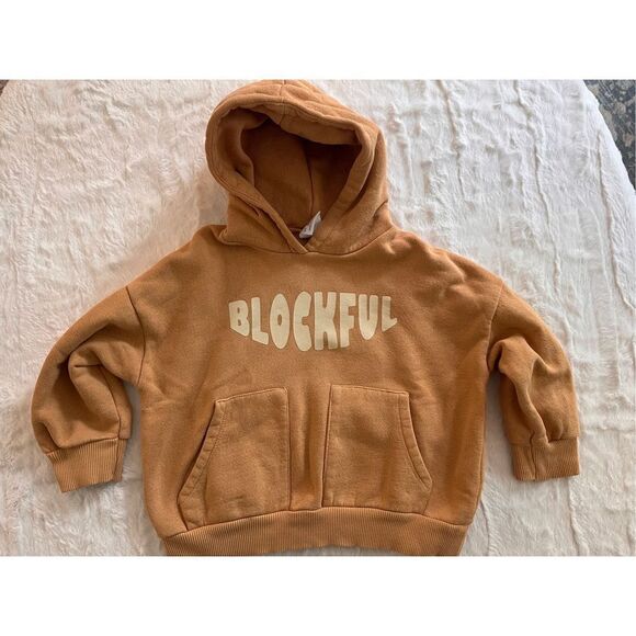 Zara Blockful Hoodie Size 2/3 Years - Picture 1 of 7